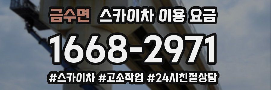 금수면 스카이차 이용 요금