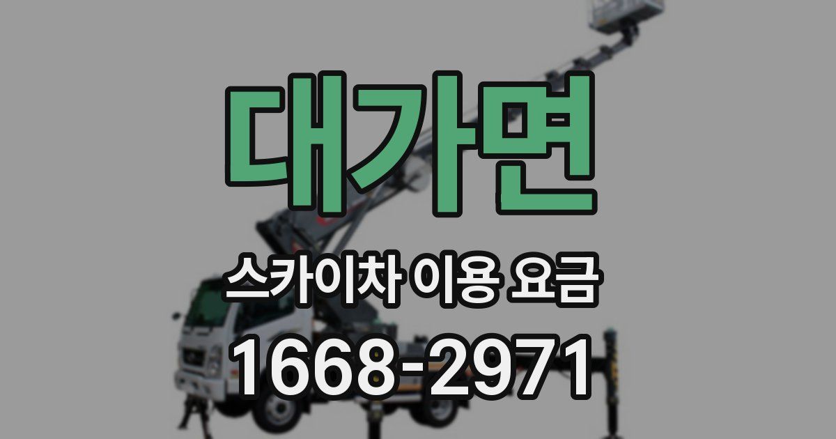 대가면 스카이차 이용 요금