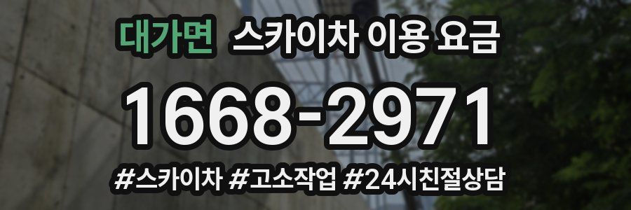 대가면 스카이차 이용 요금