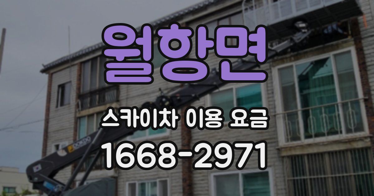 월항면 스카이차 이용 요금