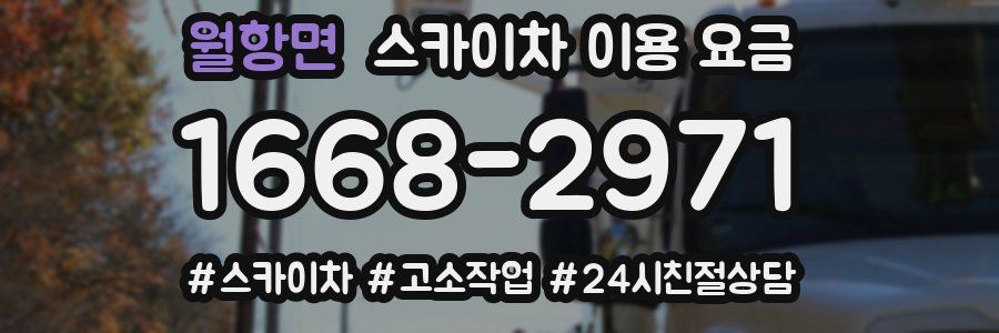월항면 스카이차 이용 요금