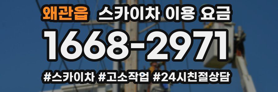 왜관읍 스카이차 이용 요금