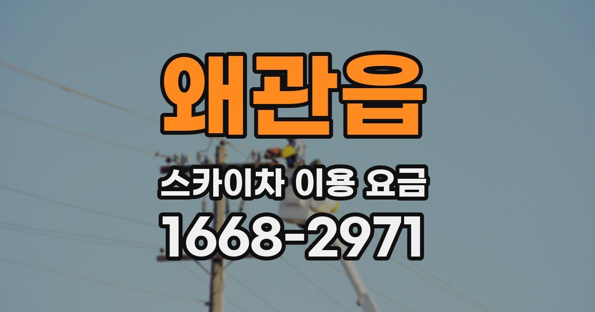 왜관읍 스카이차 이용 요금
