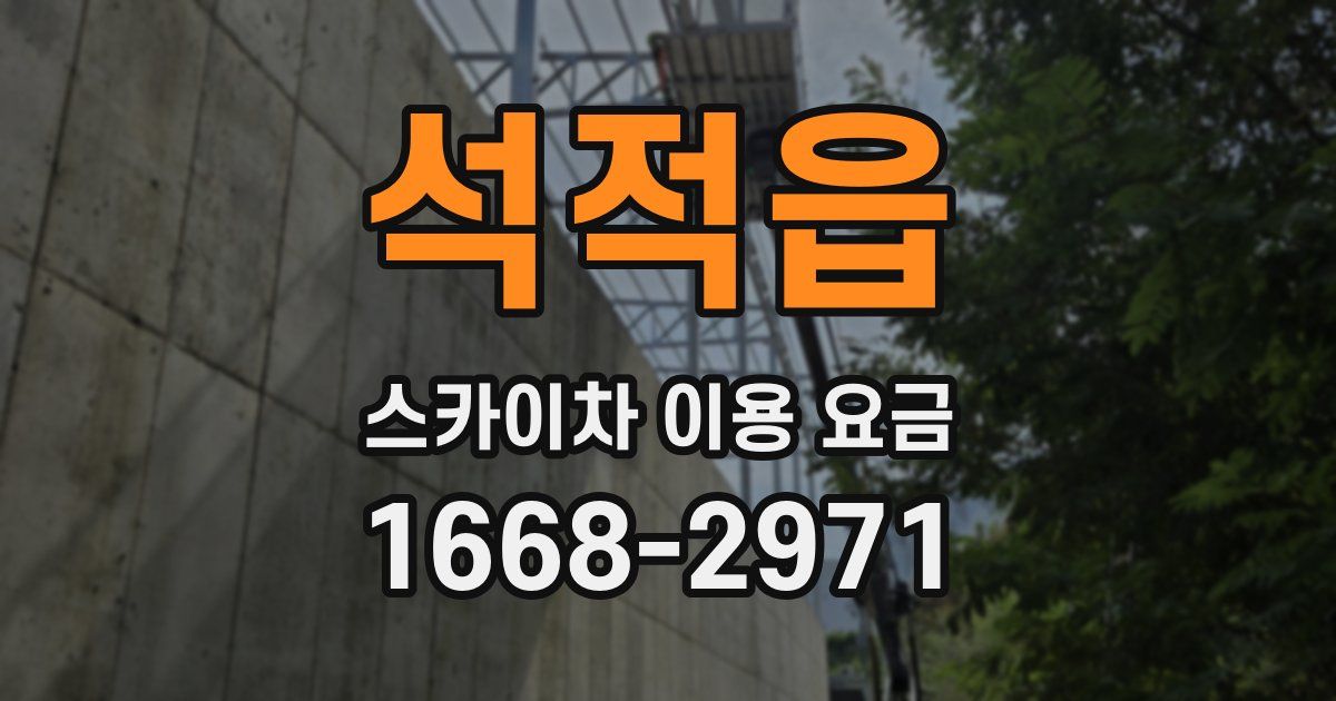 석적읍 스카이차 이용 요금