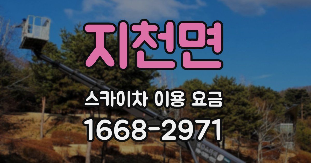 지천면 스카이차 이용 요금