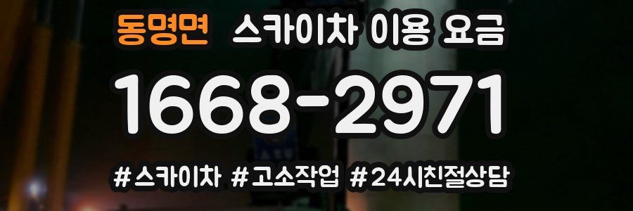 동명면 스카이차 이용 요금