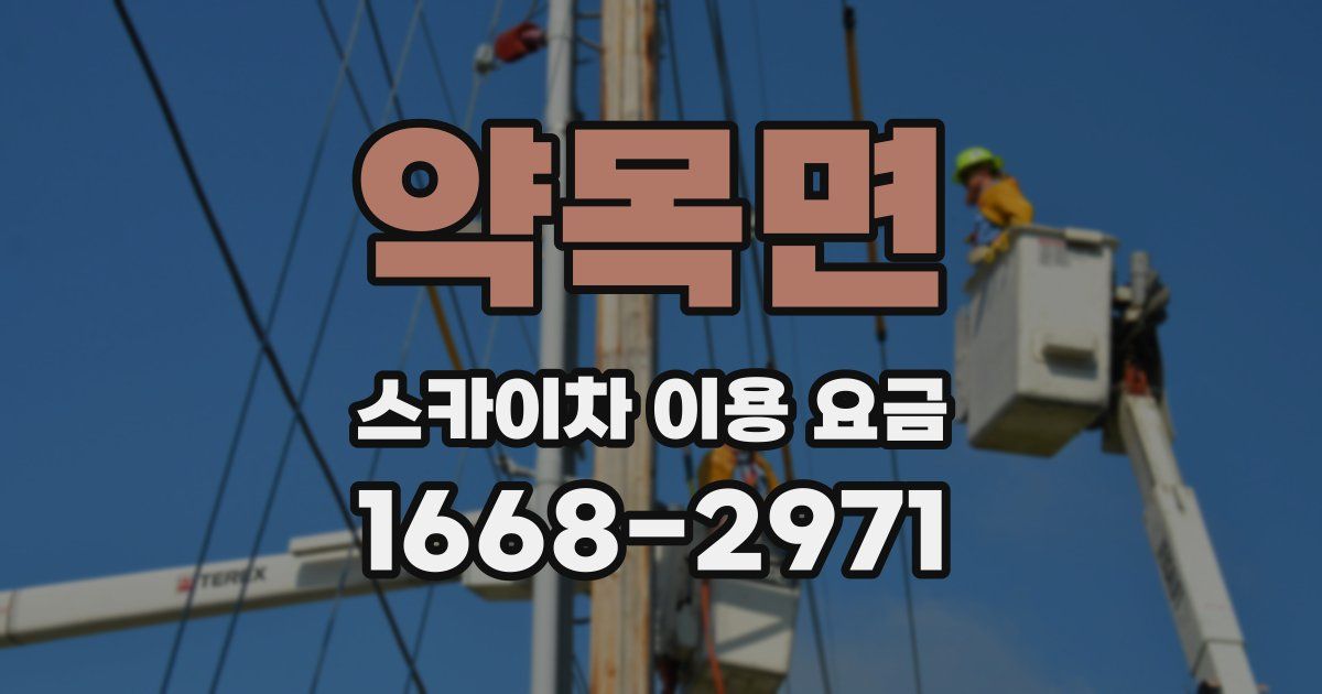 약목면 스카이차 이용 요금