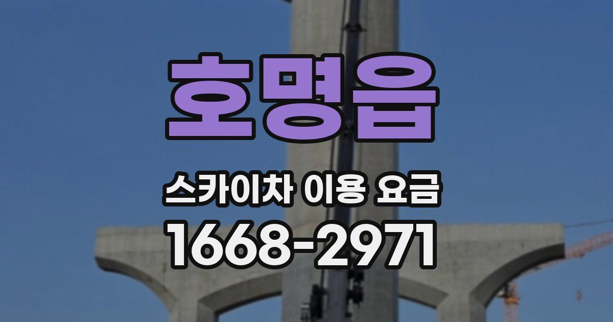 호명읍 스카이차 이용 요금