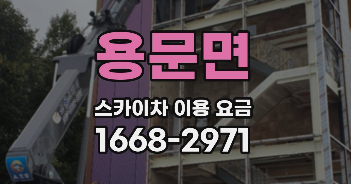 용문면 스카이차 이용 요금