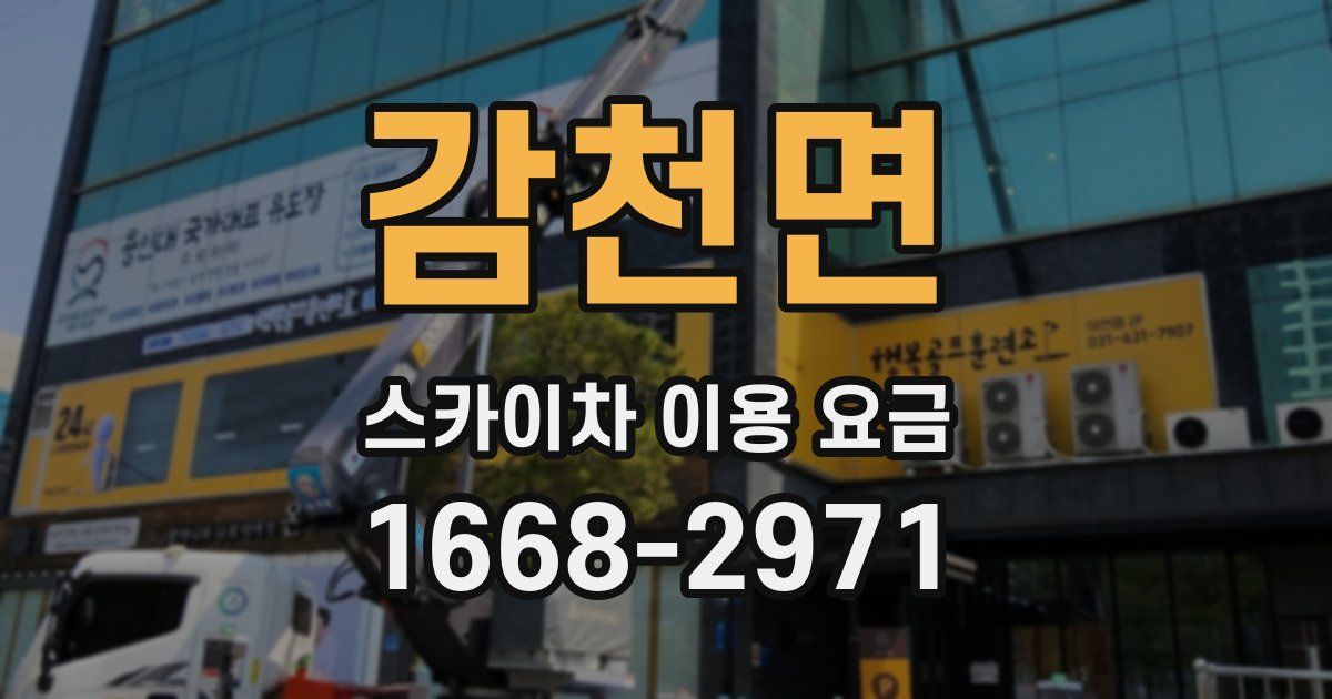 감천면 스카이차 이용 요금