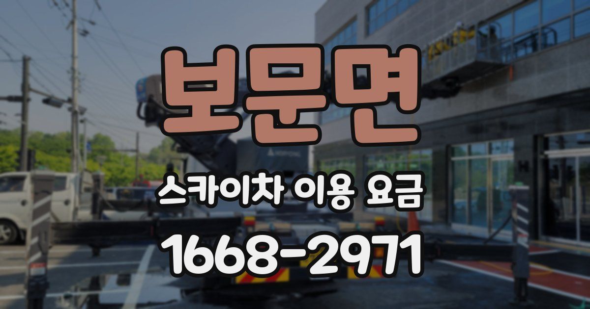 보문면 스카이차 이용 요금