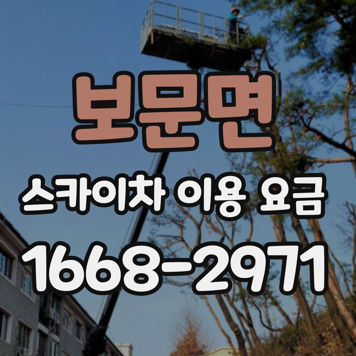 보문면 스카이차 이용 요금