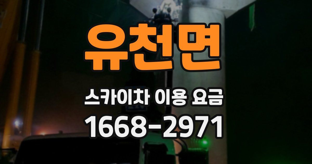 유천면 스카이차 이용 요금