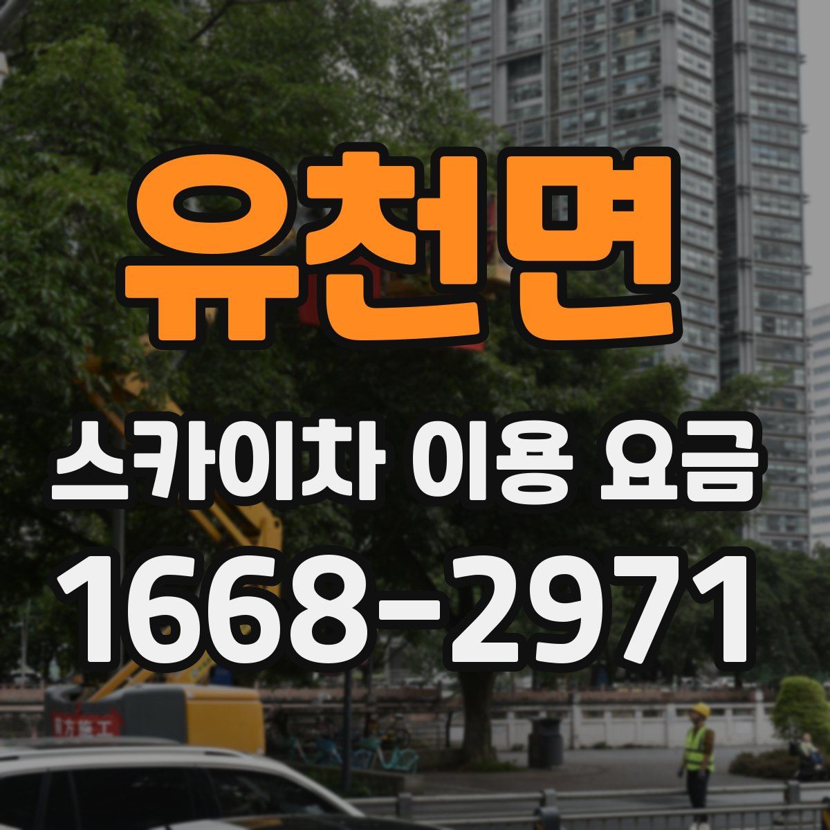 유천면 스카이차 이용 요금