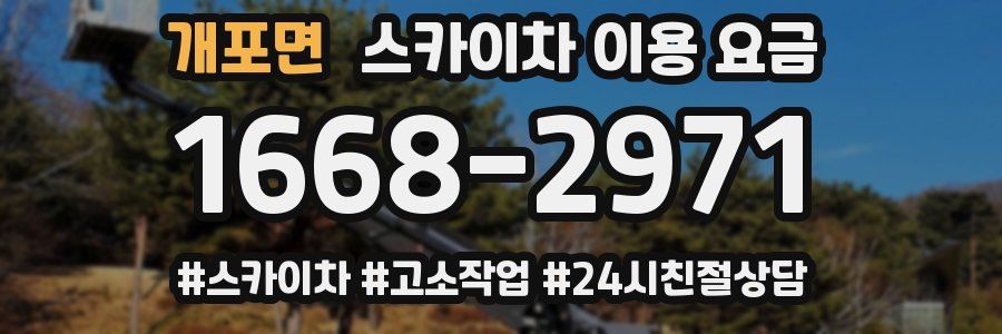 개포면 스카이차 이용 요금