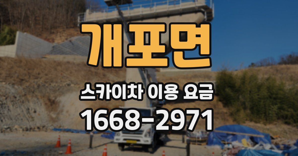 개포면 스카이차 이용 요금