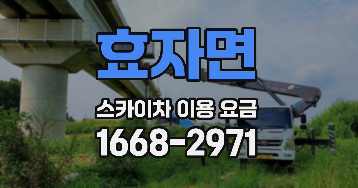 효자면 스카이차 이용 요금