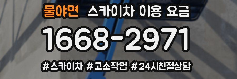 물야면 스카이차 이용 요금