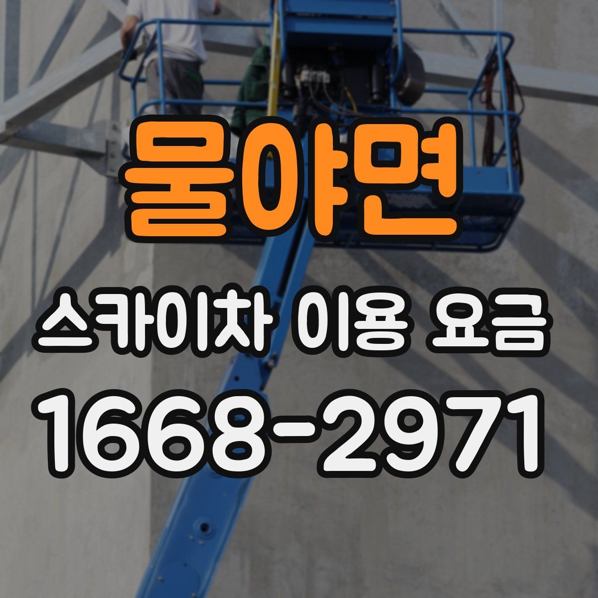 물야면 스카이차 이용 요금
