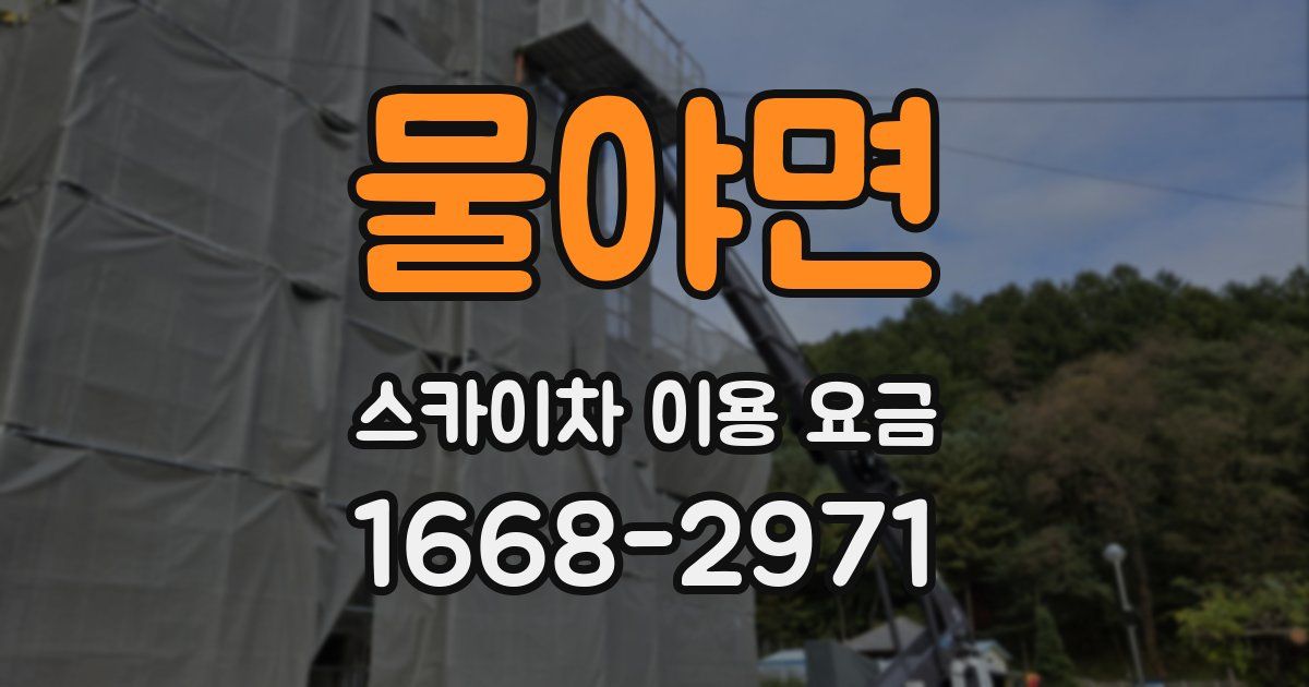 물야면 스카이차 이용 요금