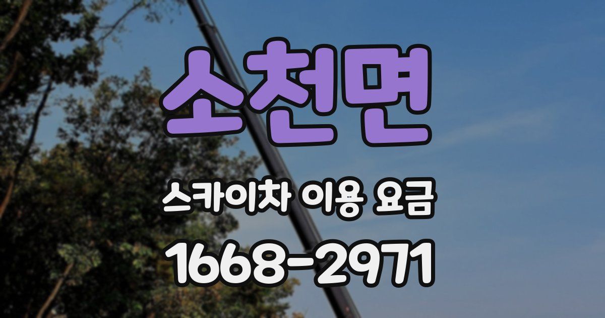소천면 스카이차 이용 요금