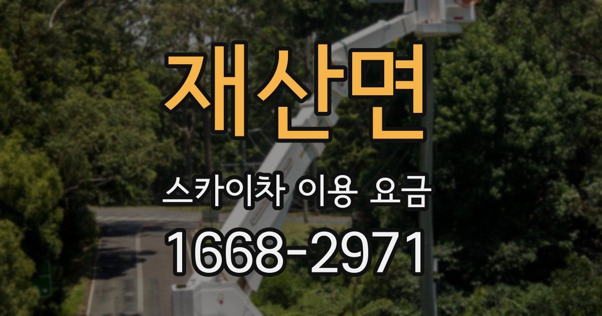 재산면 스카이차 이용 요금