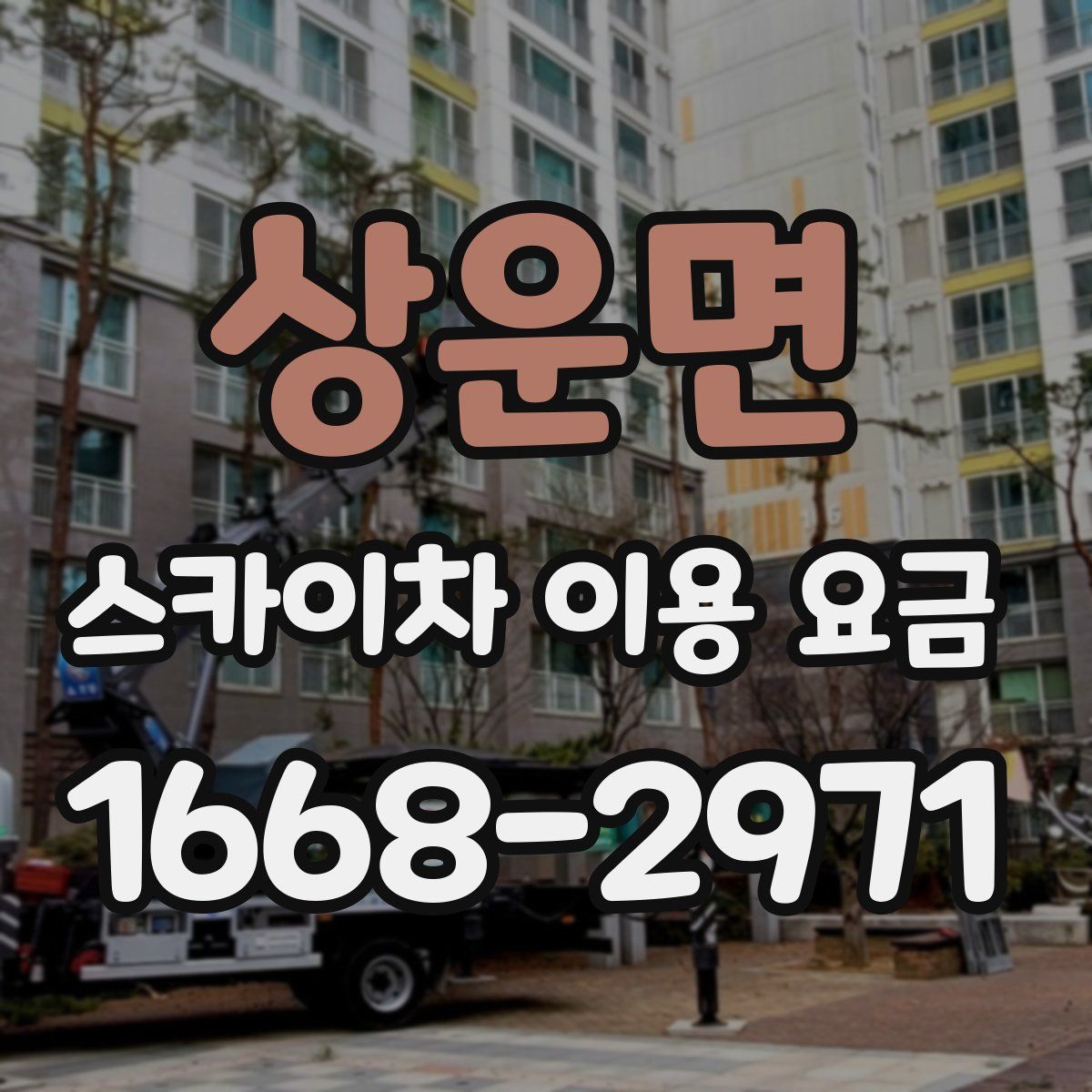 상운면 스카이차 이용 요금