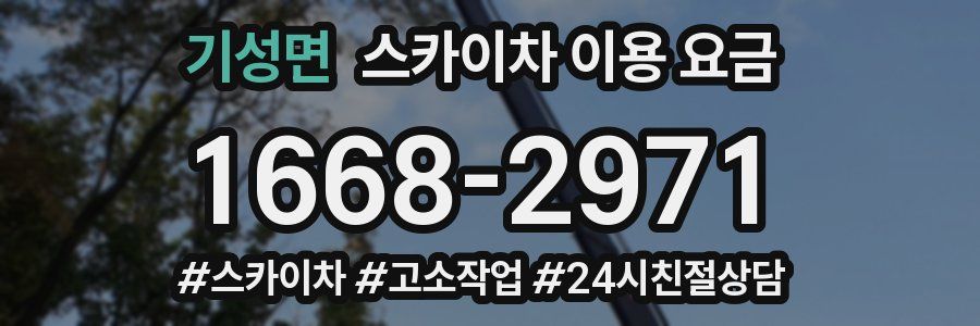 기성면 스카이차 이용 요금