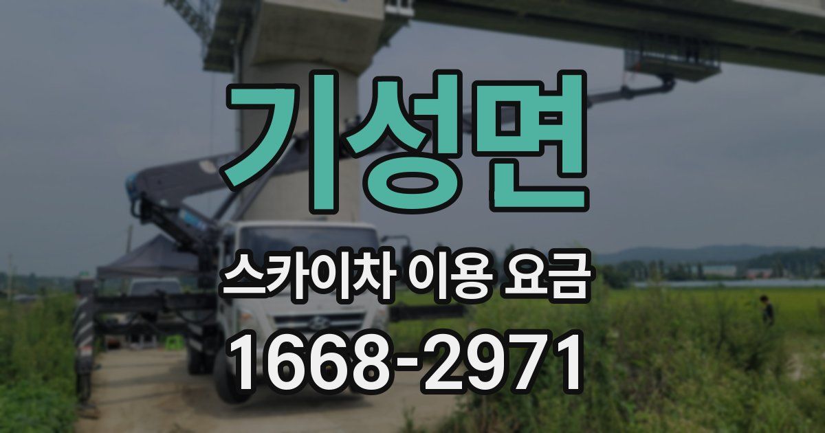 기성면 스카이차 이용 요금