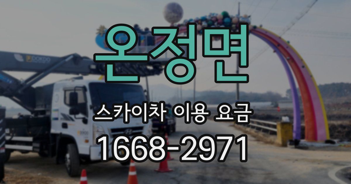 온정면 스카이차 이용 요금