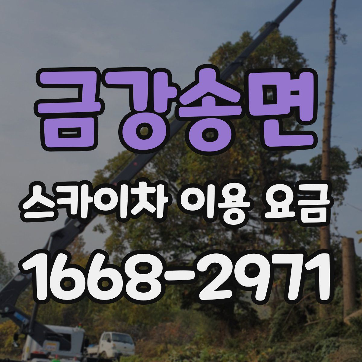 금강송면 스카이차 이용 요금