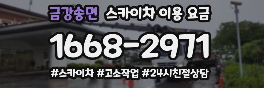금강송면 스카이차 이용 요금