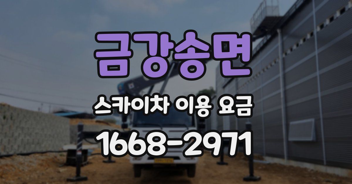 금강송면 스카이차 이용 요금