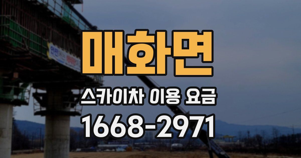 매화면 스카이차 이용 요금