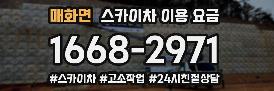 매화면 스카이차 이용 요금