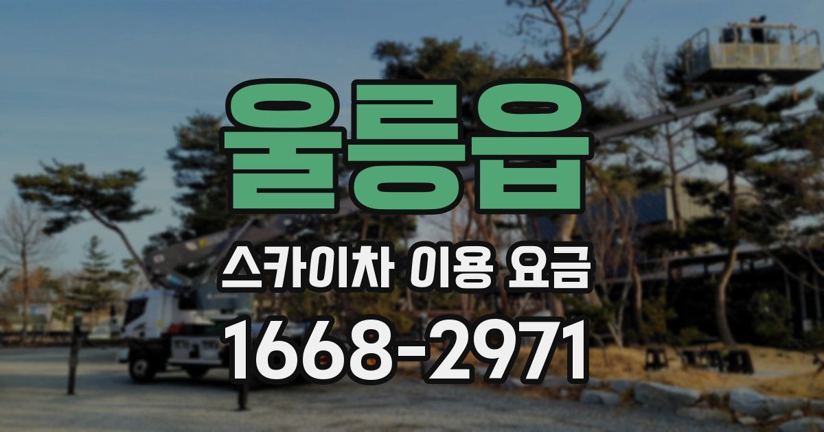 울릉읍 스카이차 이용 요금
