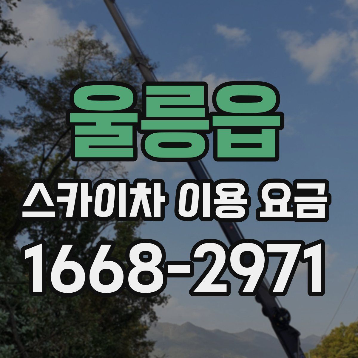 울릉읍 스카이차 이용 요금