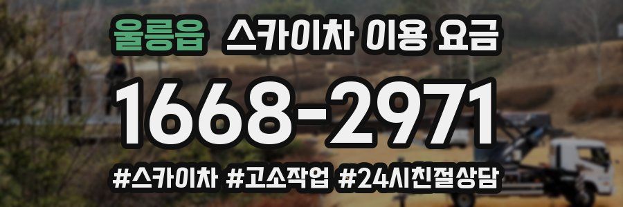 울릉읍 스카이차 이용 요금