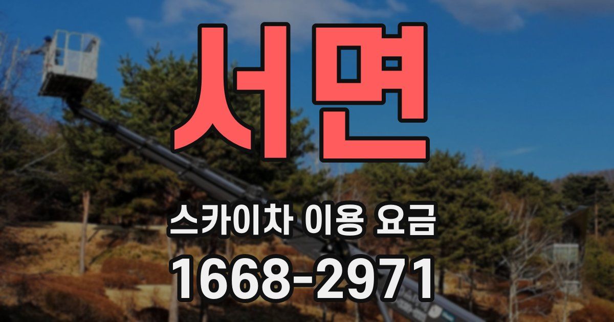서면 스카이차 이용 요금