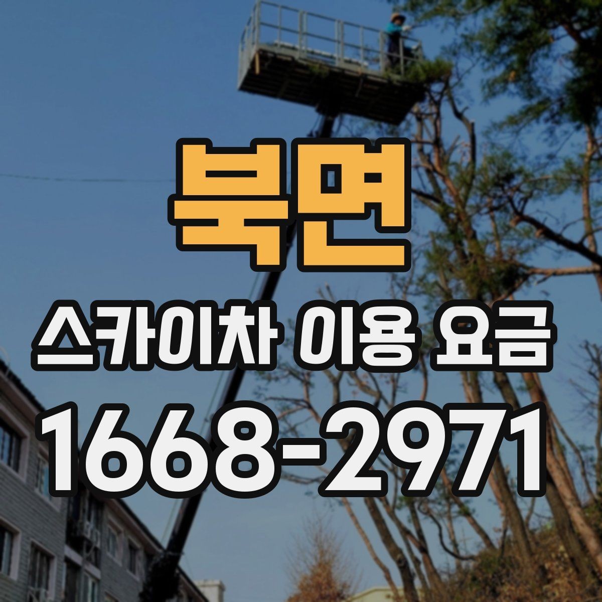 북면 스카이차 이용 요금 비교, 업체별 안내 방식 차이