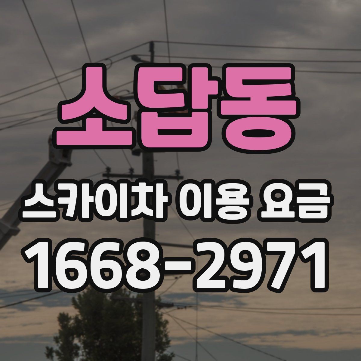 소답동 스카이차 이용 요금 비교 시 업체별 기본 포함 범위 보기
