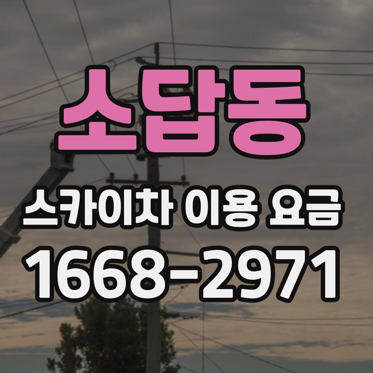 소답동 스카이차 이용 요금