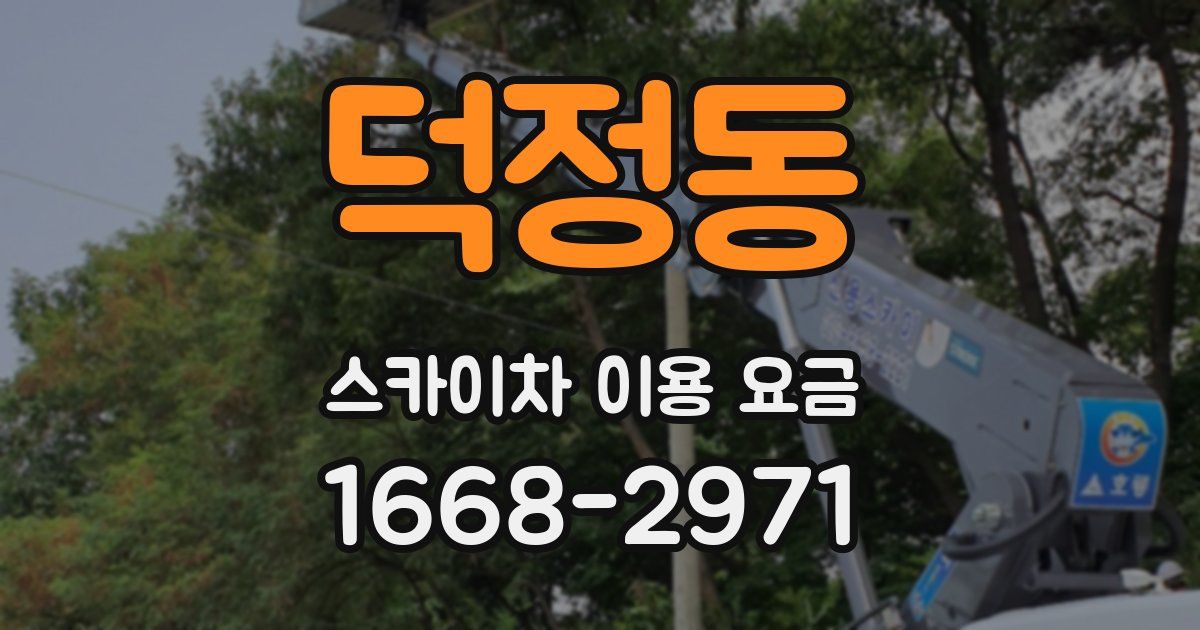 덕정동 스카이차 이용 요금