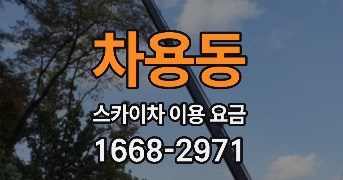 차용동 스카이차 이용 요금