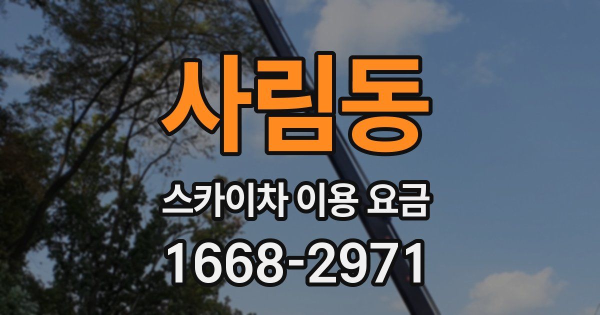 사림동 스카이차 이용 요금