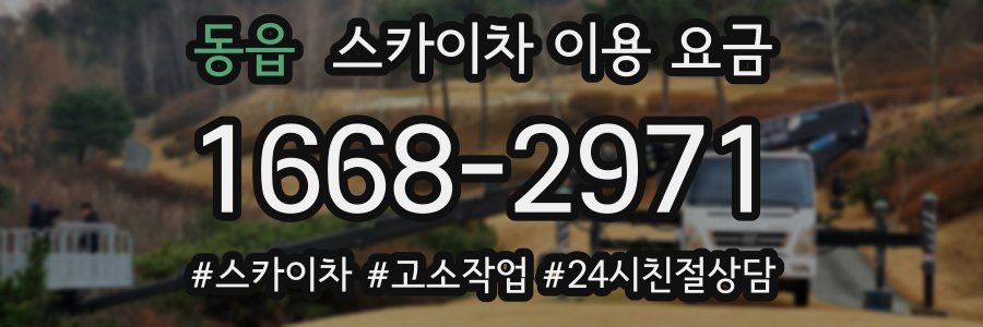 동읍 스카이차 이용 요금