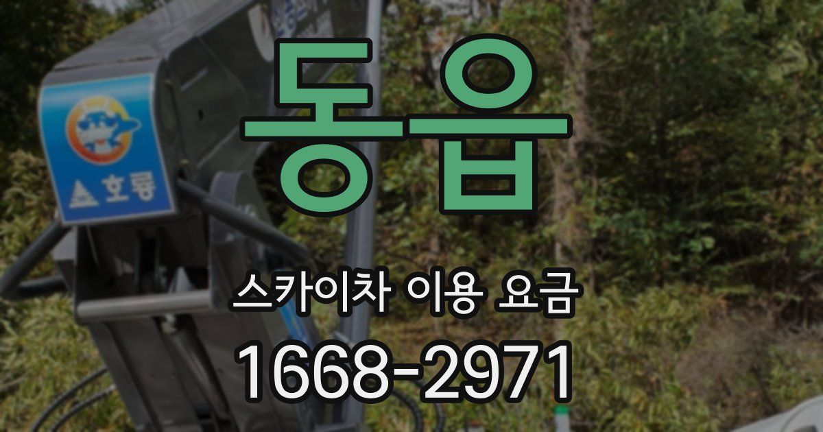 동읍 스카이차 이용 요금