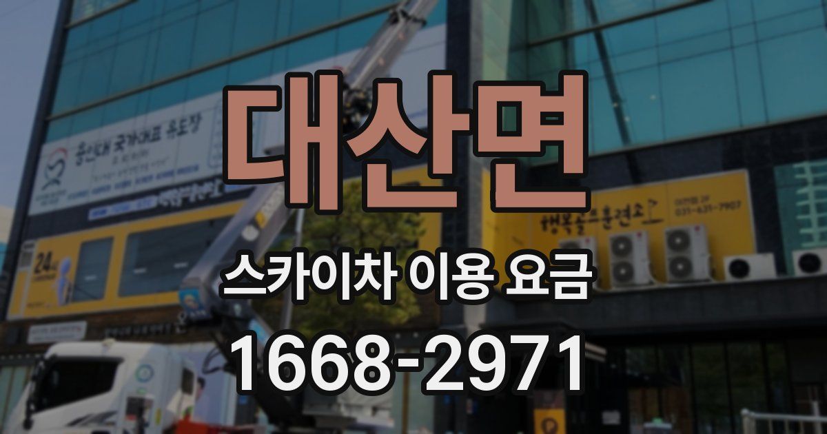 대산면 스카이차 이용 요금