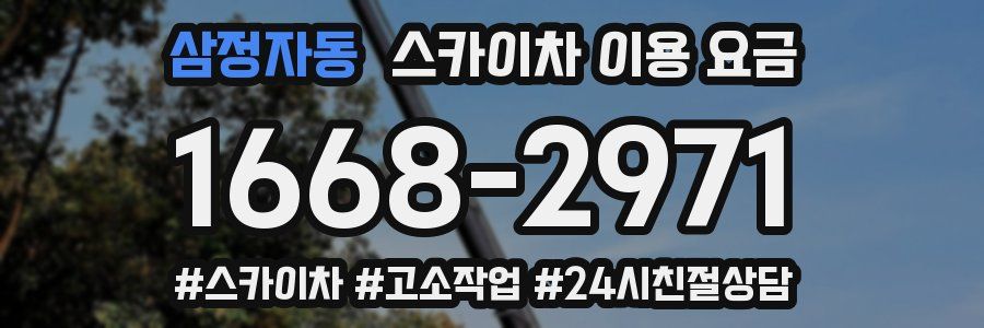 삼정자동 스카이차 이용 요금