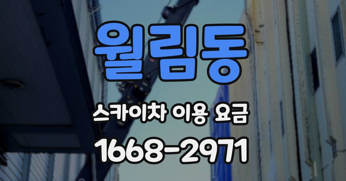월림동 스카이차 이용 요금
